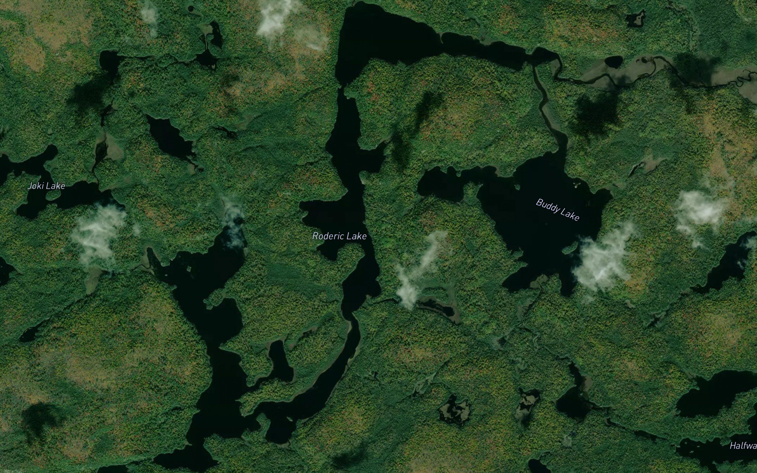 Roderic Lake