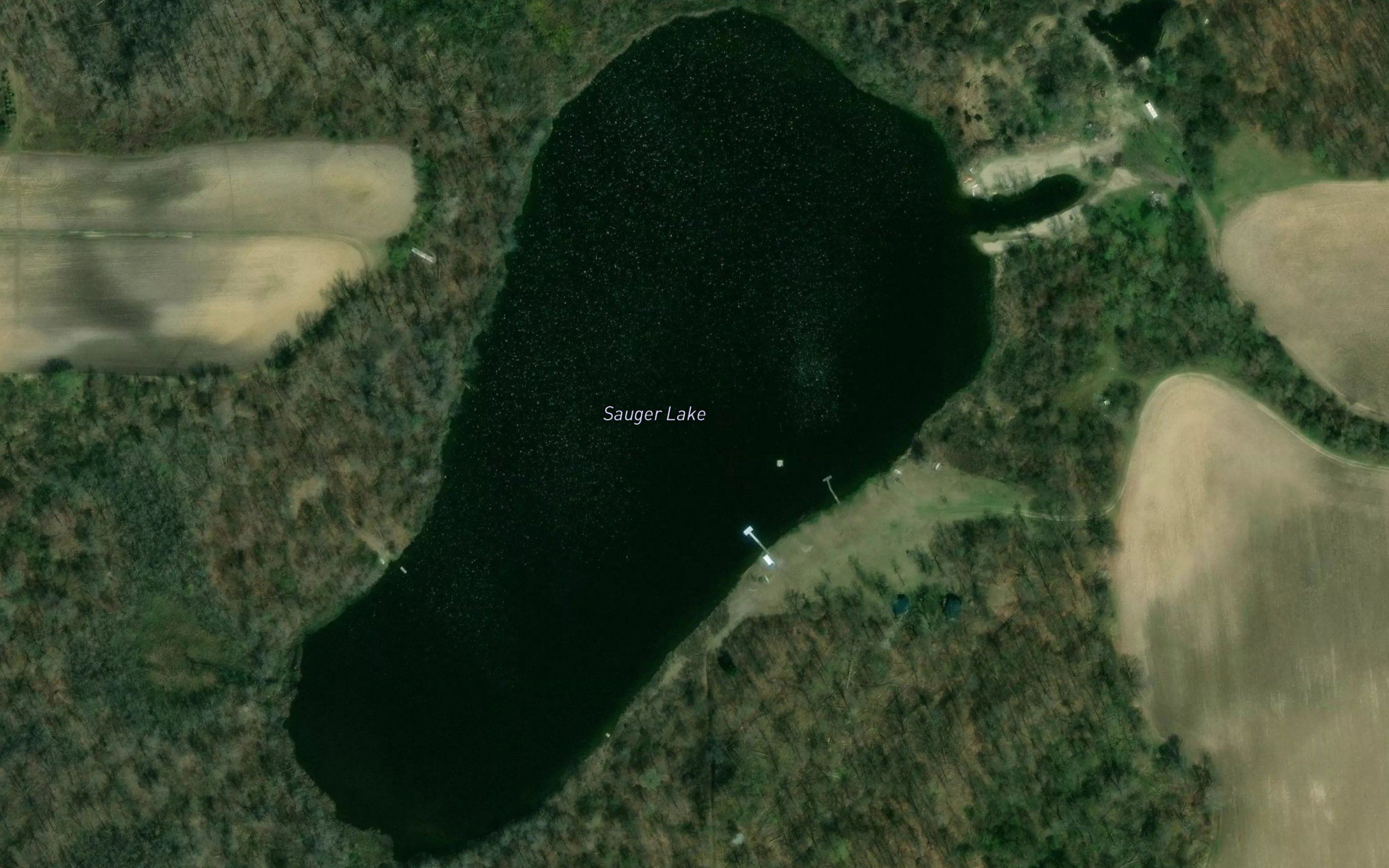 Sauger Lake