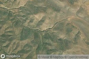 Napoleon Spring