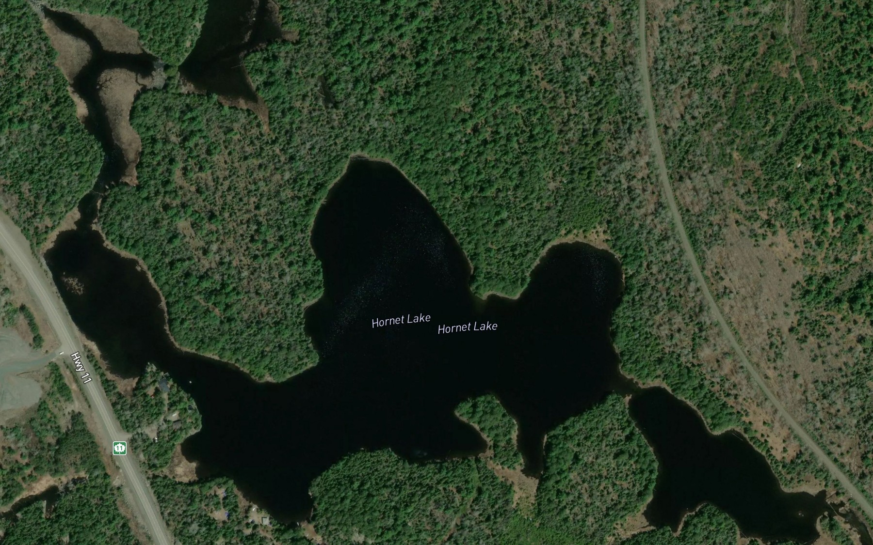Satellite map of the Hornet Lake