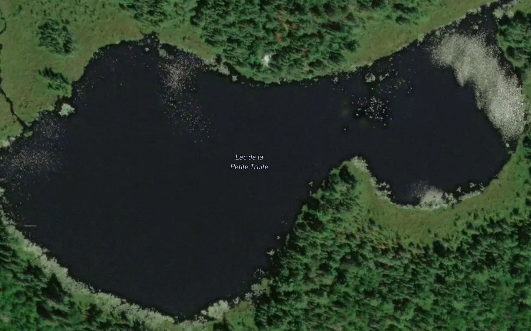 Satellite map of the Lac de la Petite Truite