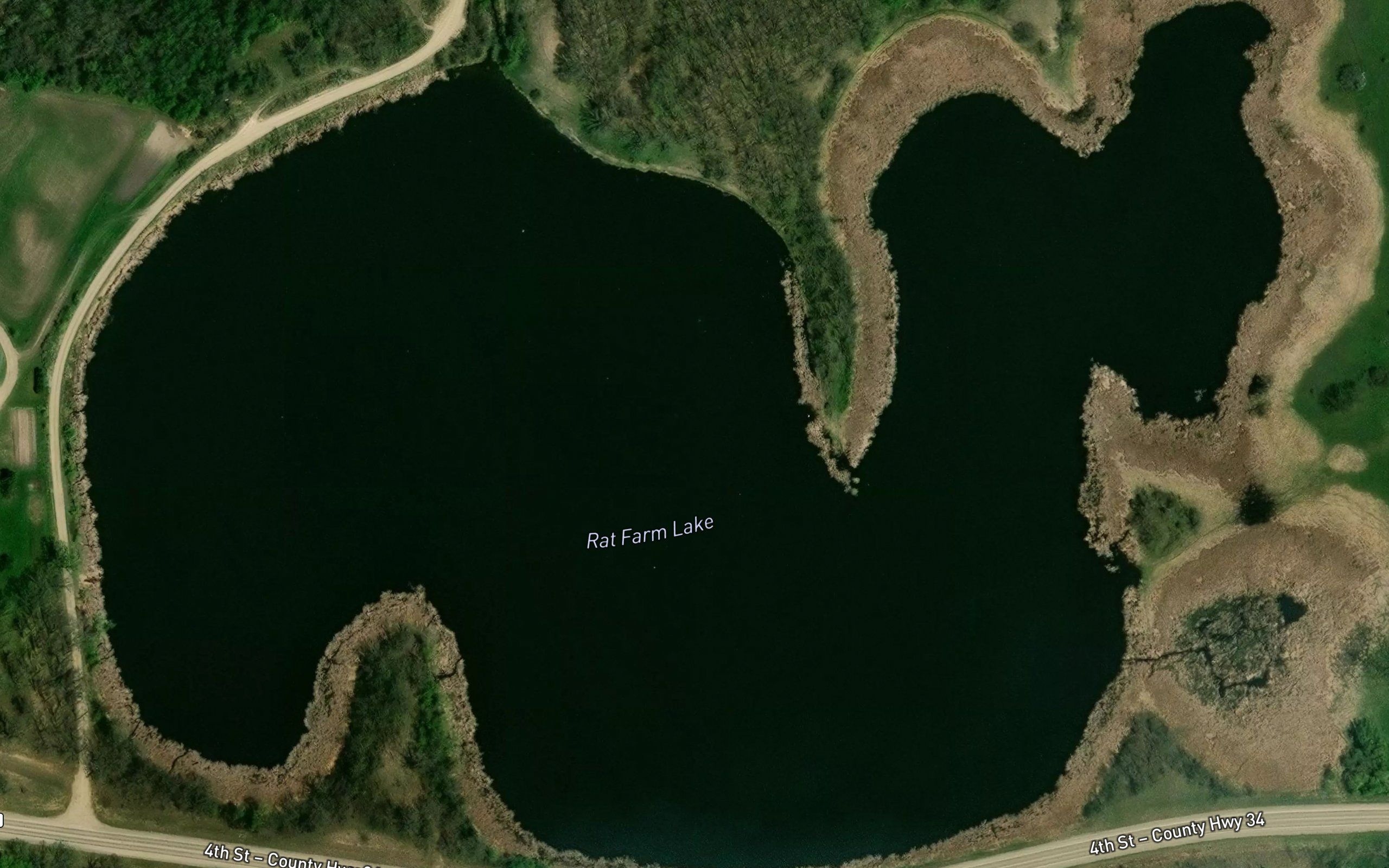 Rat Farm Lake