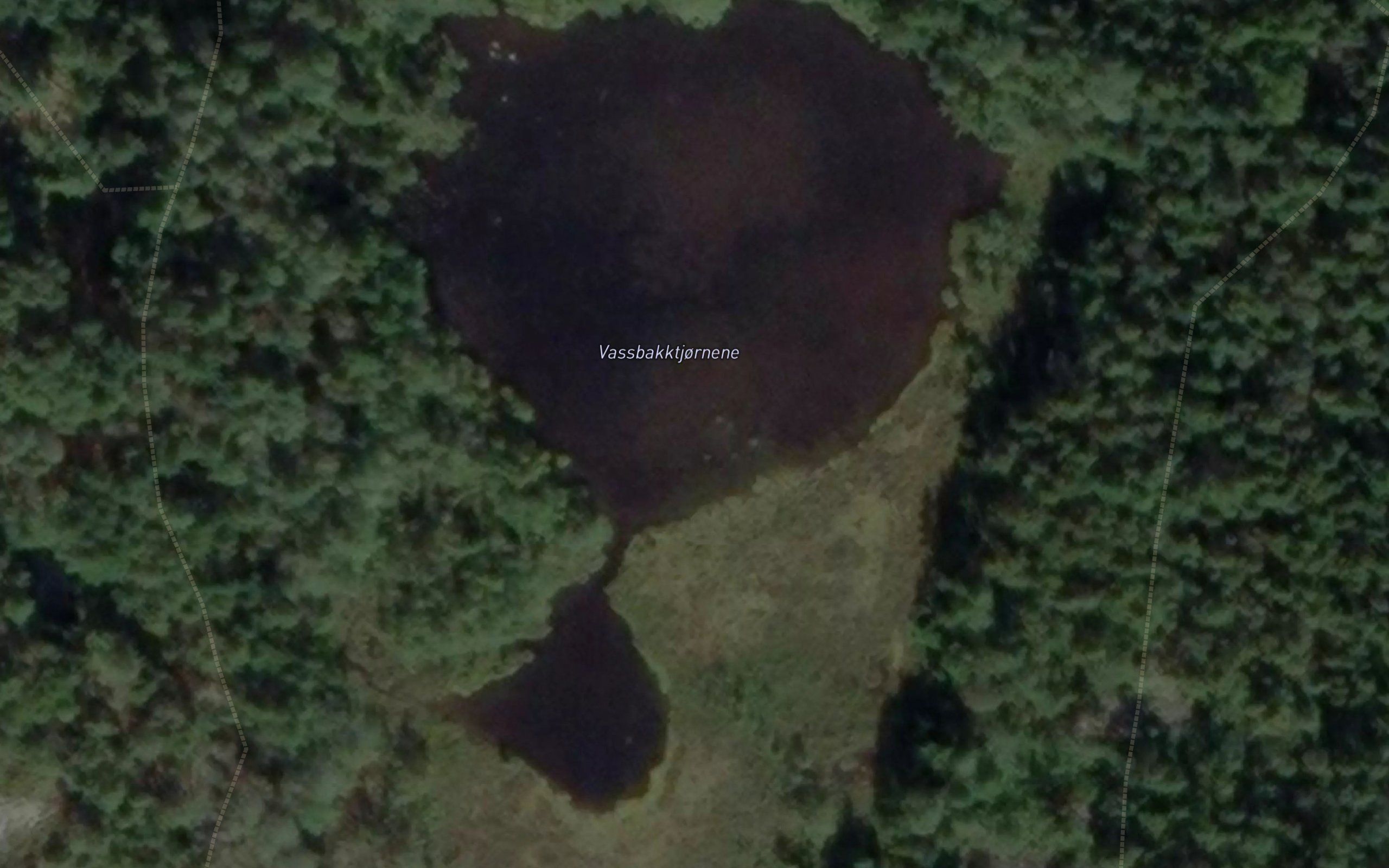 Vassbakktjornene