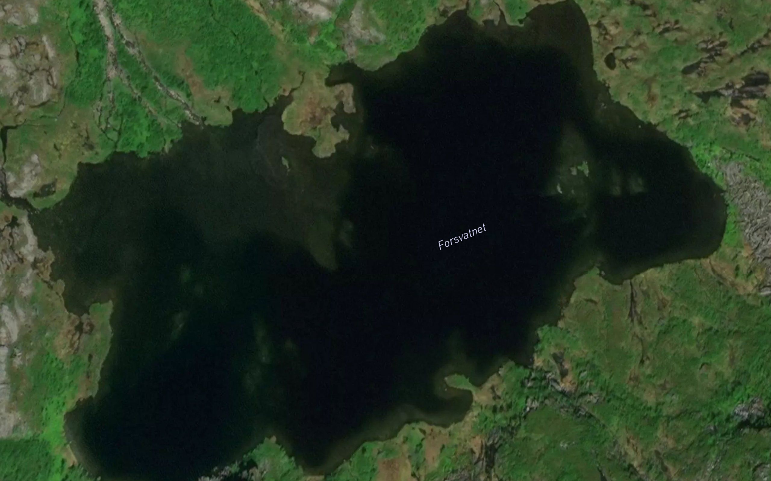 Forsvatnet