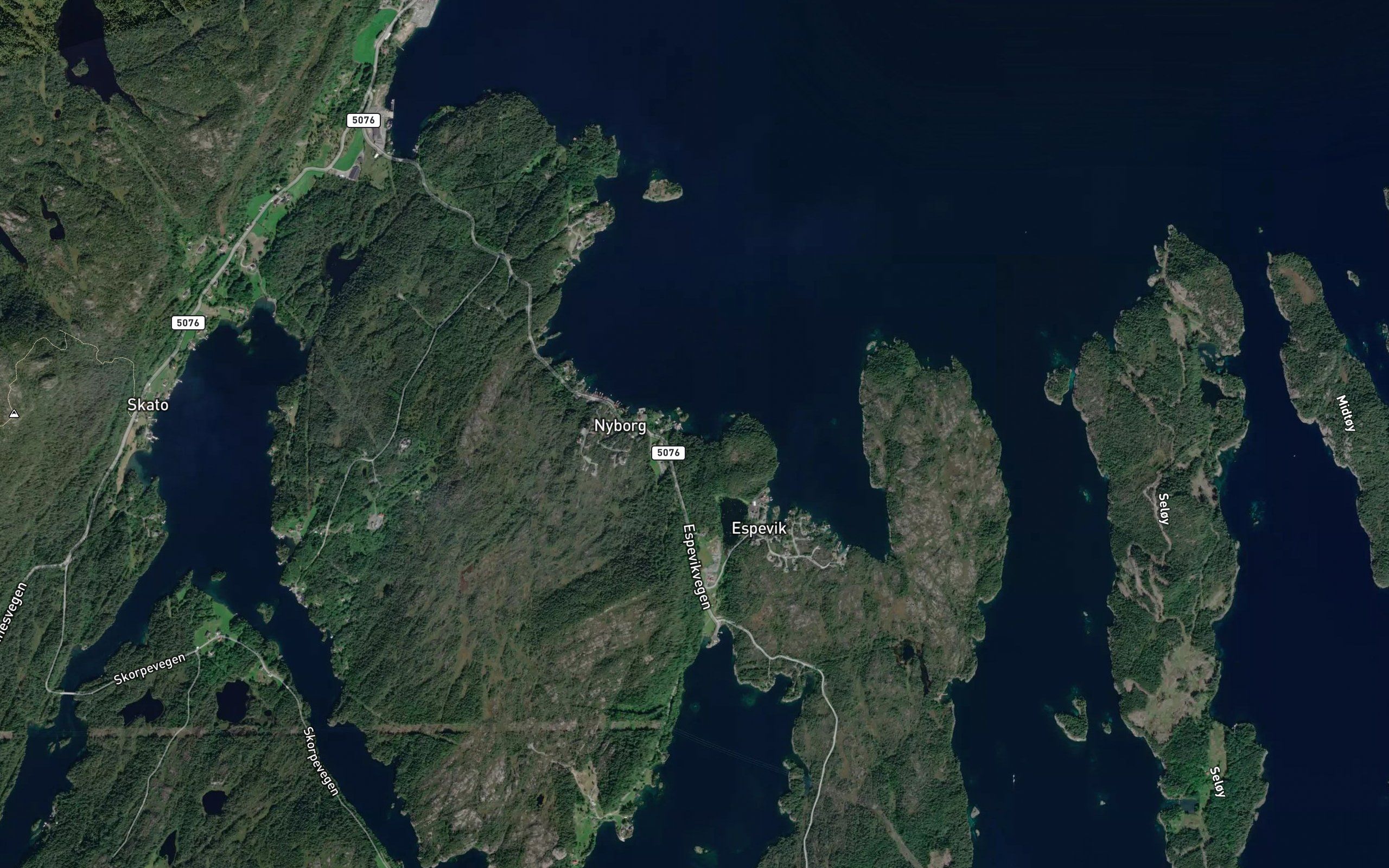 Gronevika