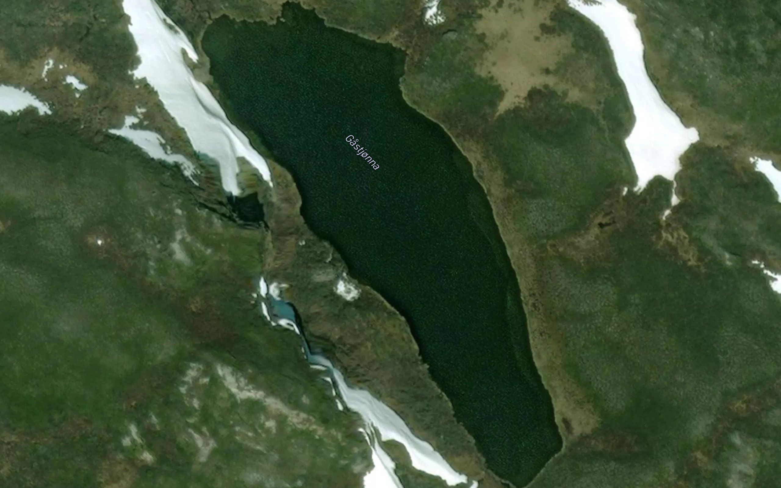 Gastjorna