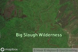 Big Slough