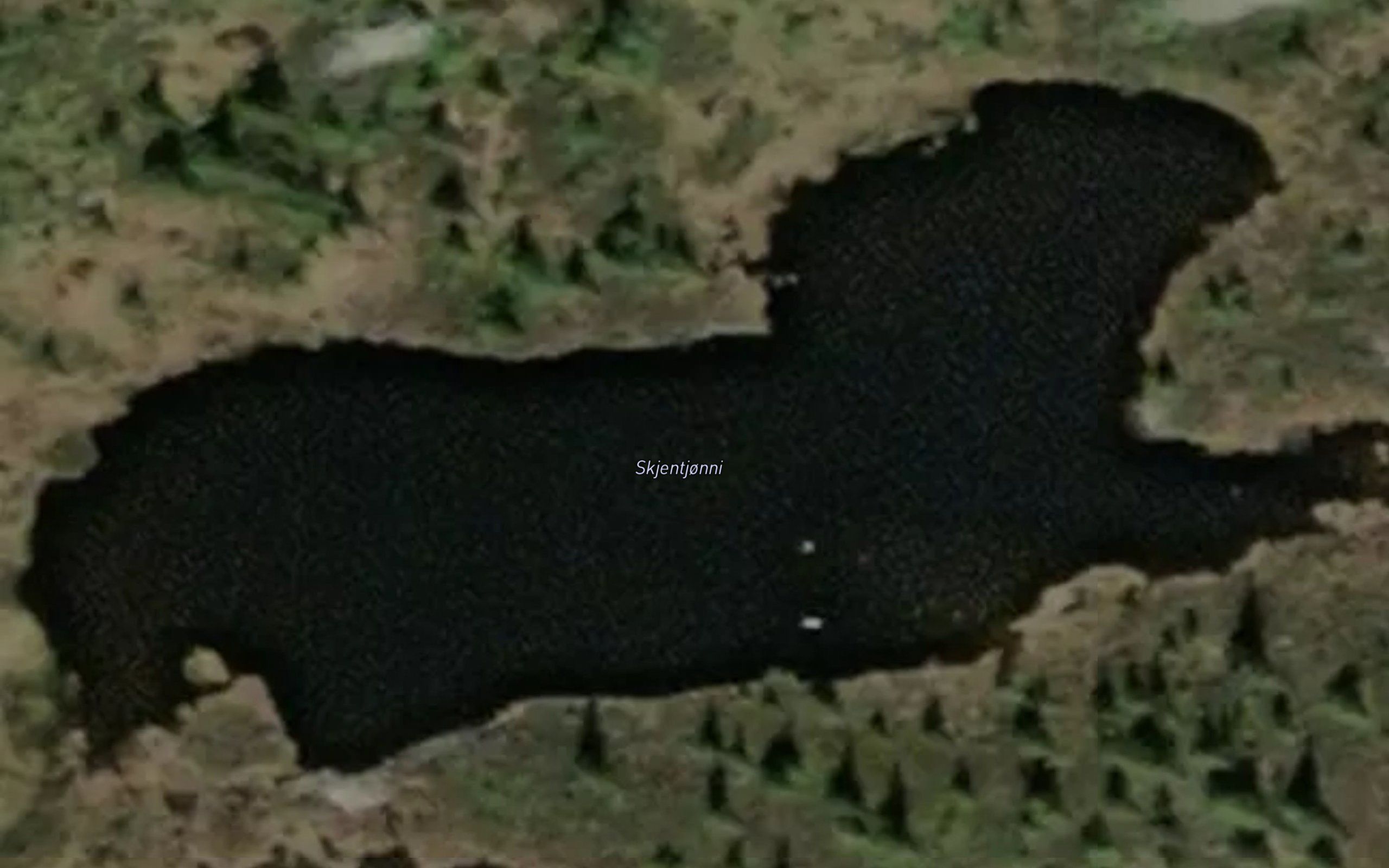 Skjentjonni