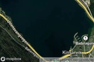 Kinsarvikbukti