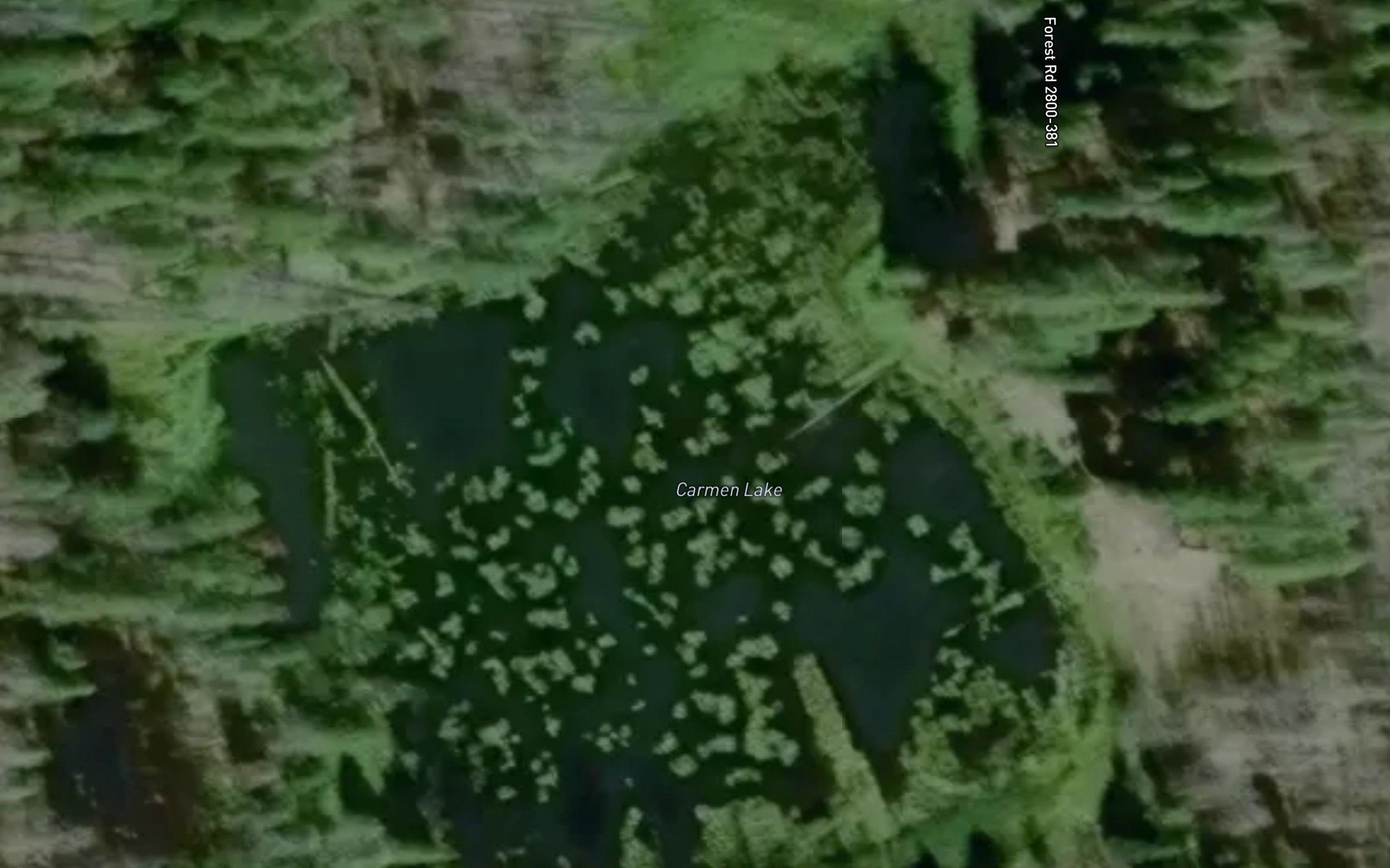 Carmen Lake