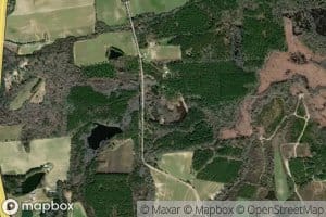 Williams Pond