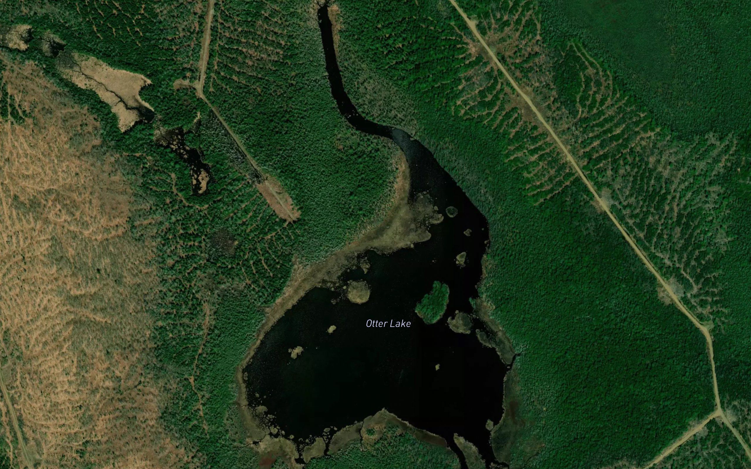 Otter Lake