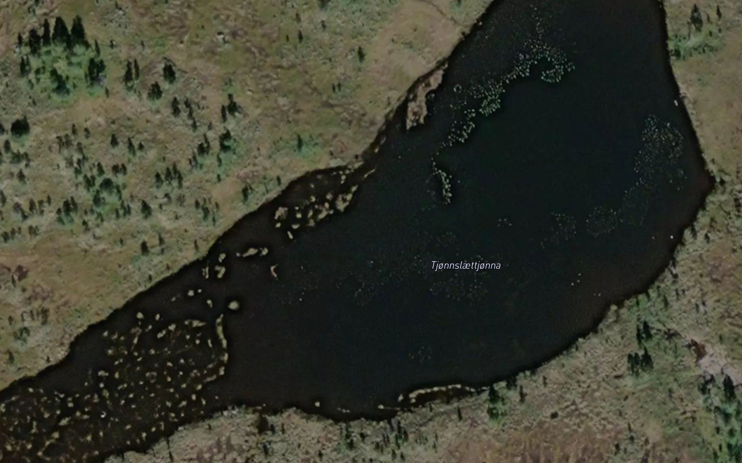 Tjornslettjorna