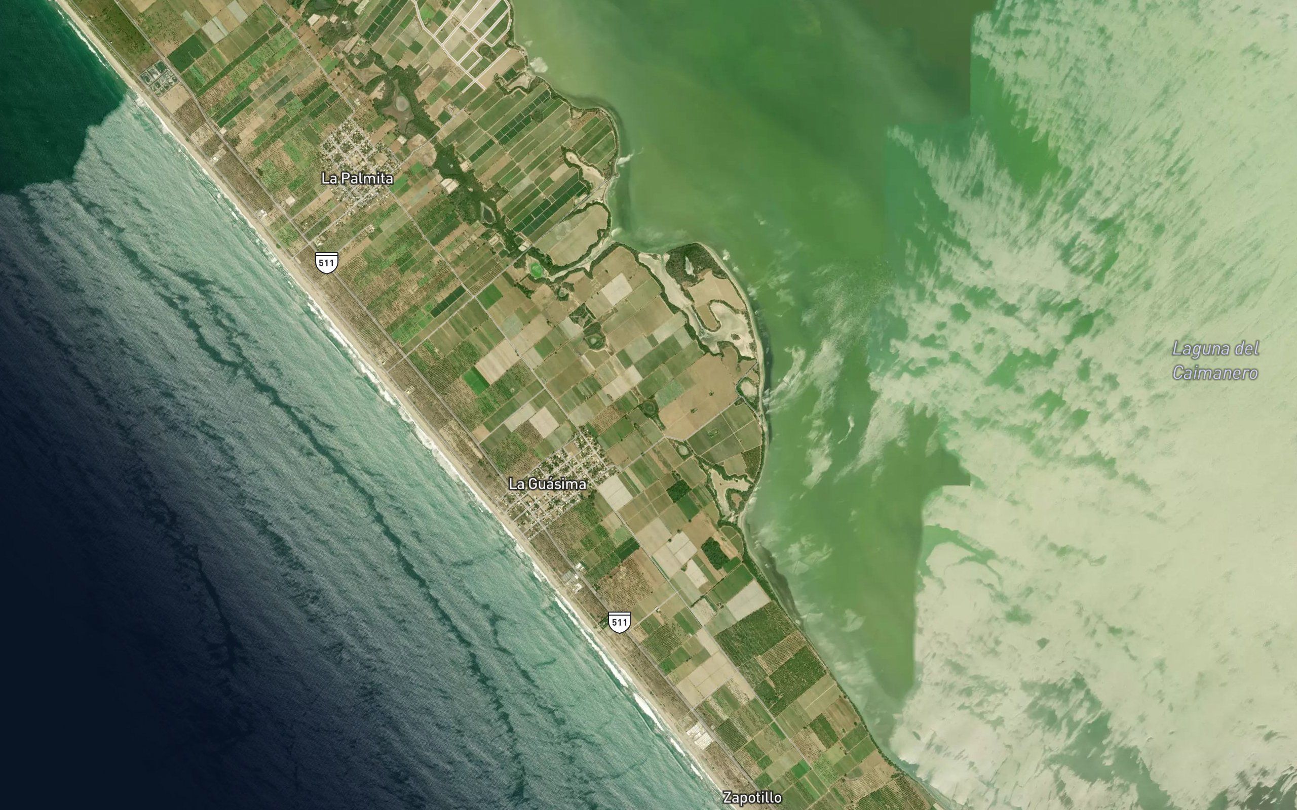 Laguna los Patos