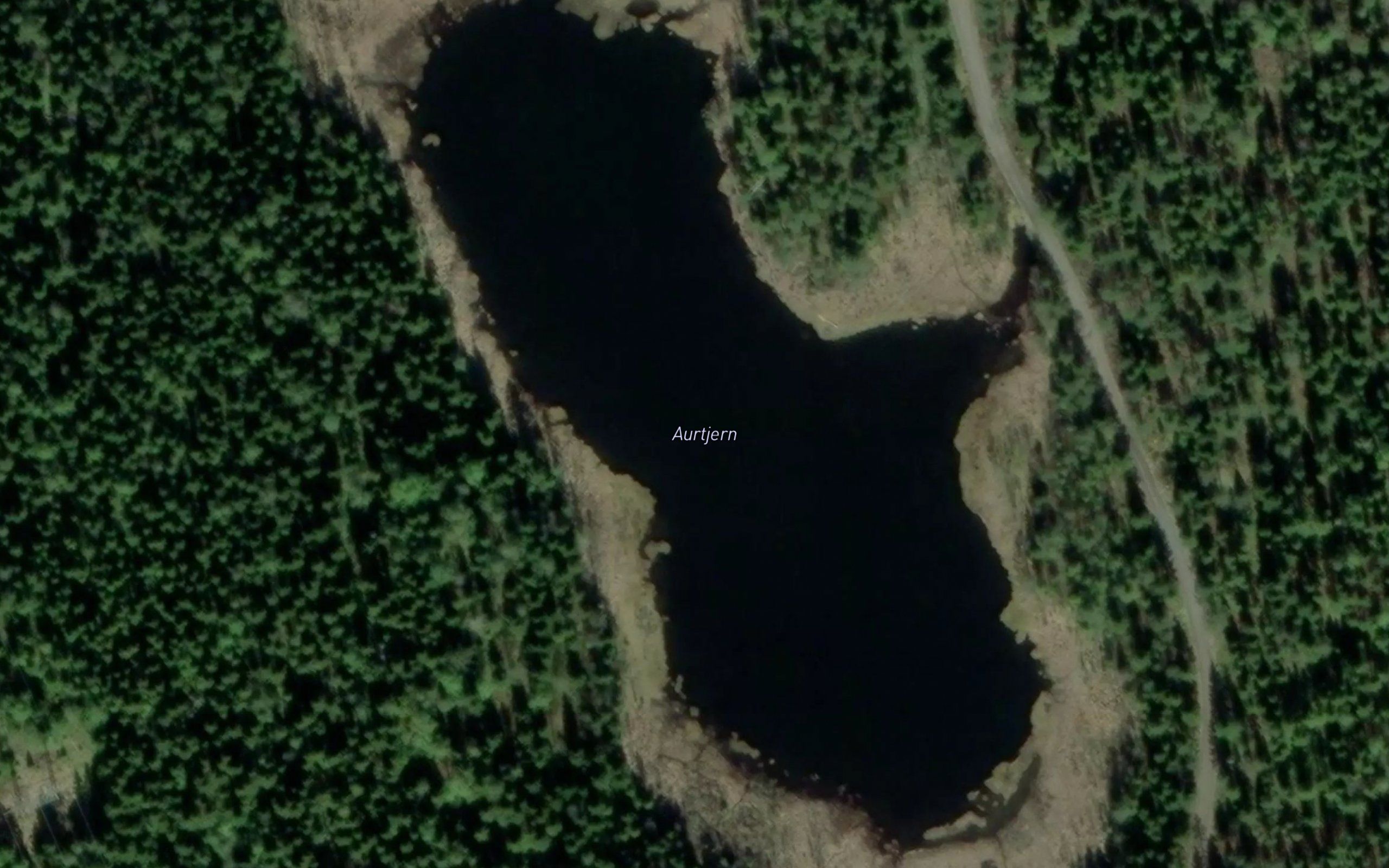 Aurtjern