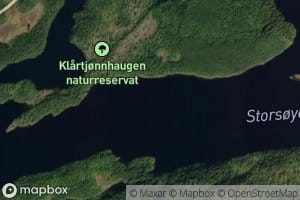 Storsoyen