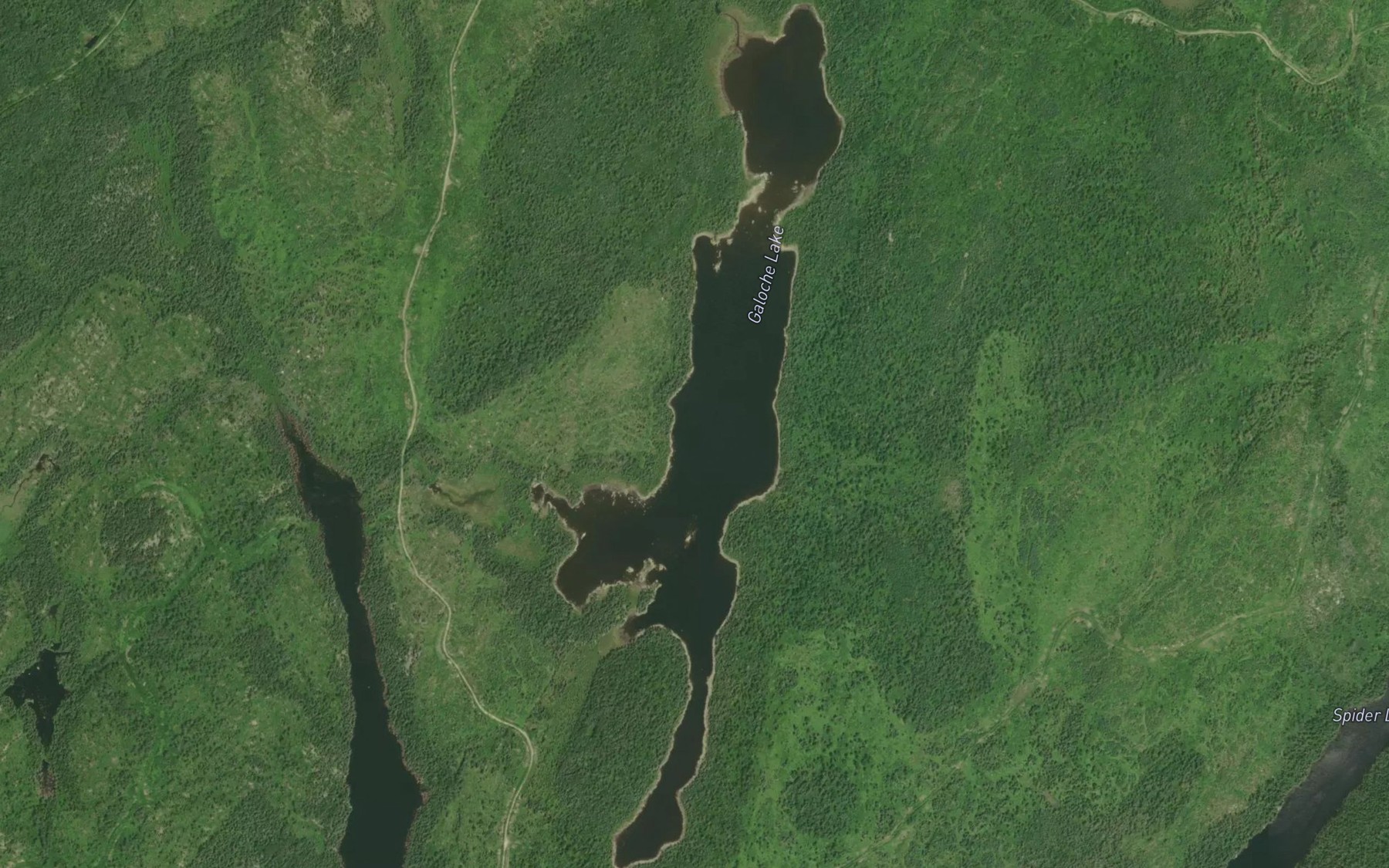 Satellite map of the Galoche Lake