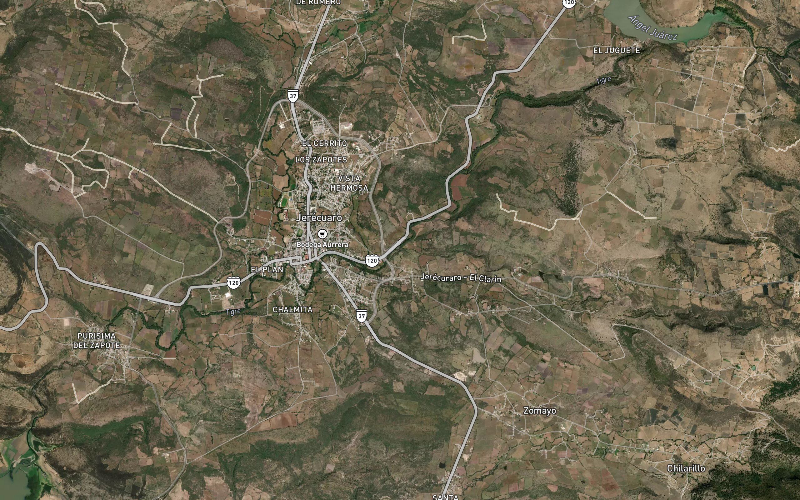 Palo Flojo