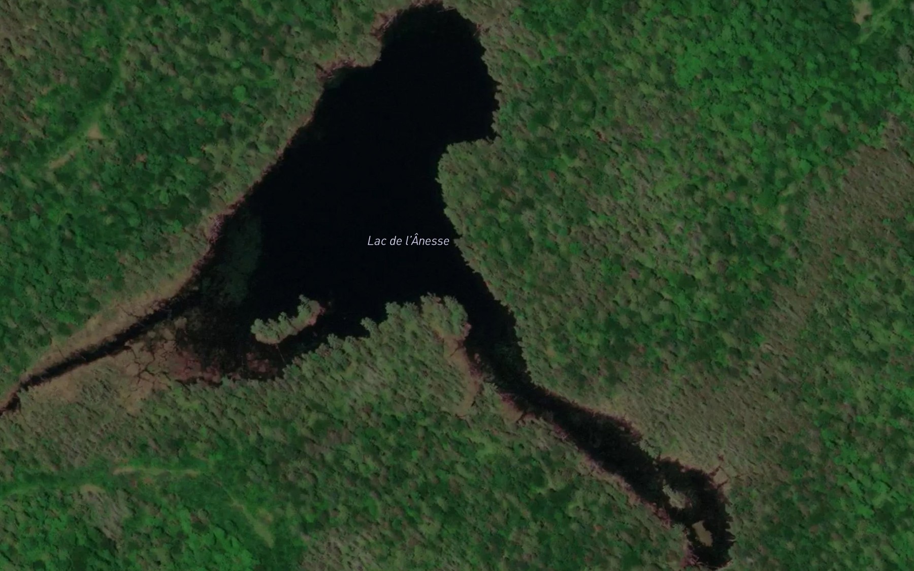 Satellite map of the Lac de l'Anesse
