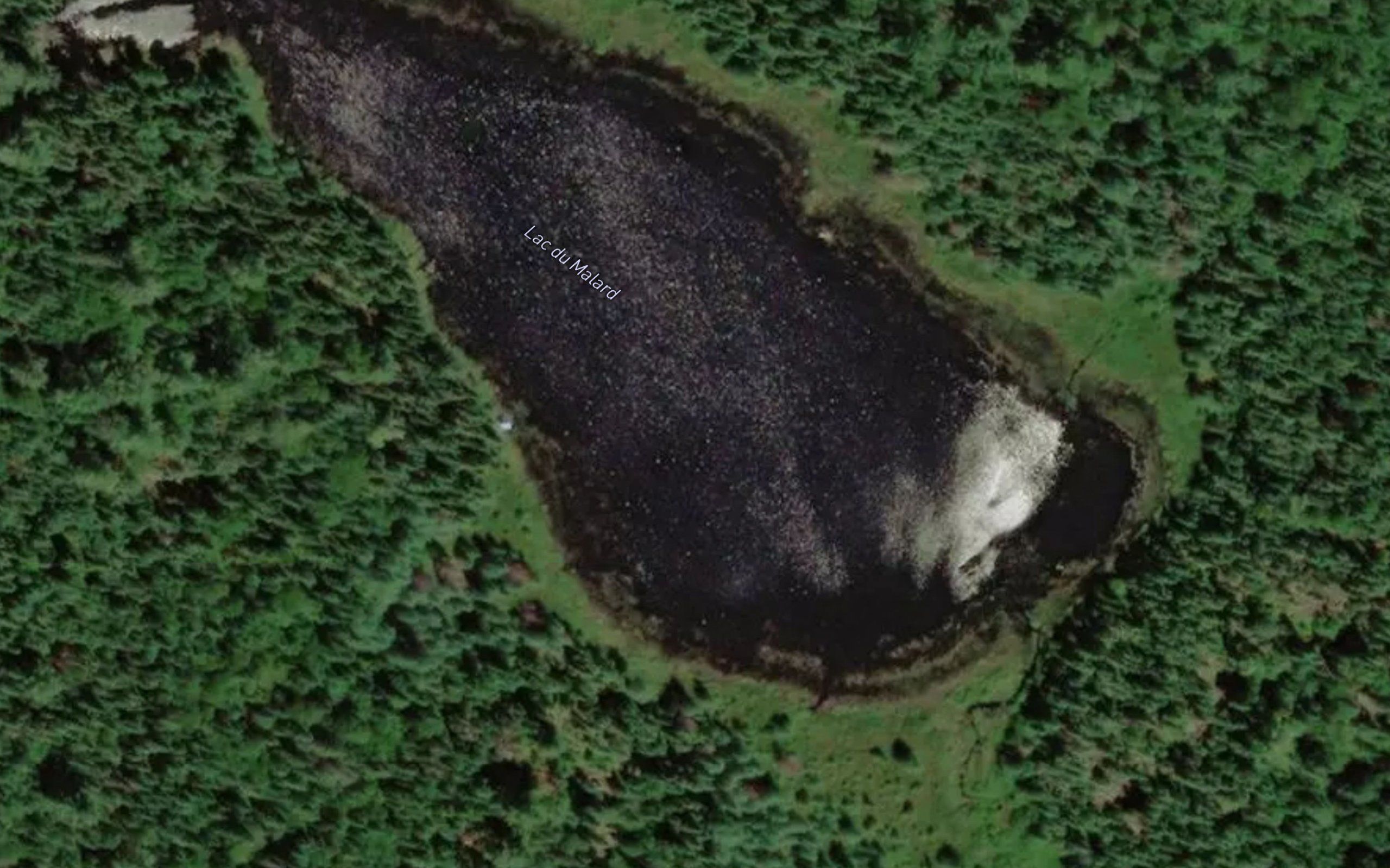 Lac du Malard