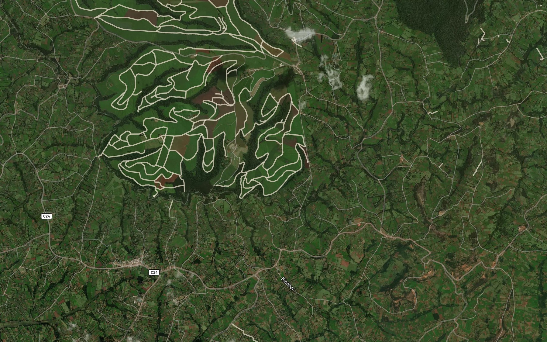 Satellite map of the Orchid Pool