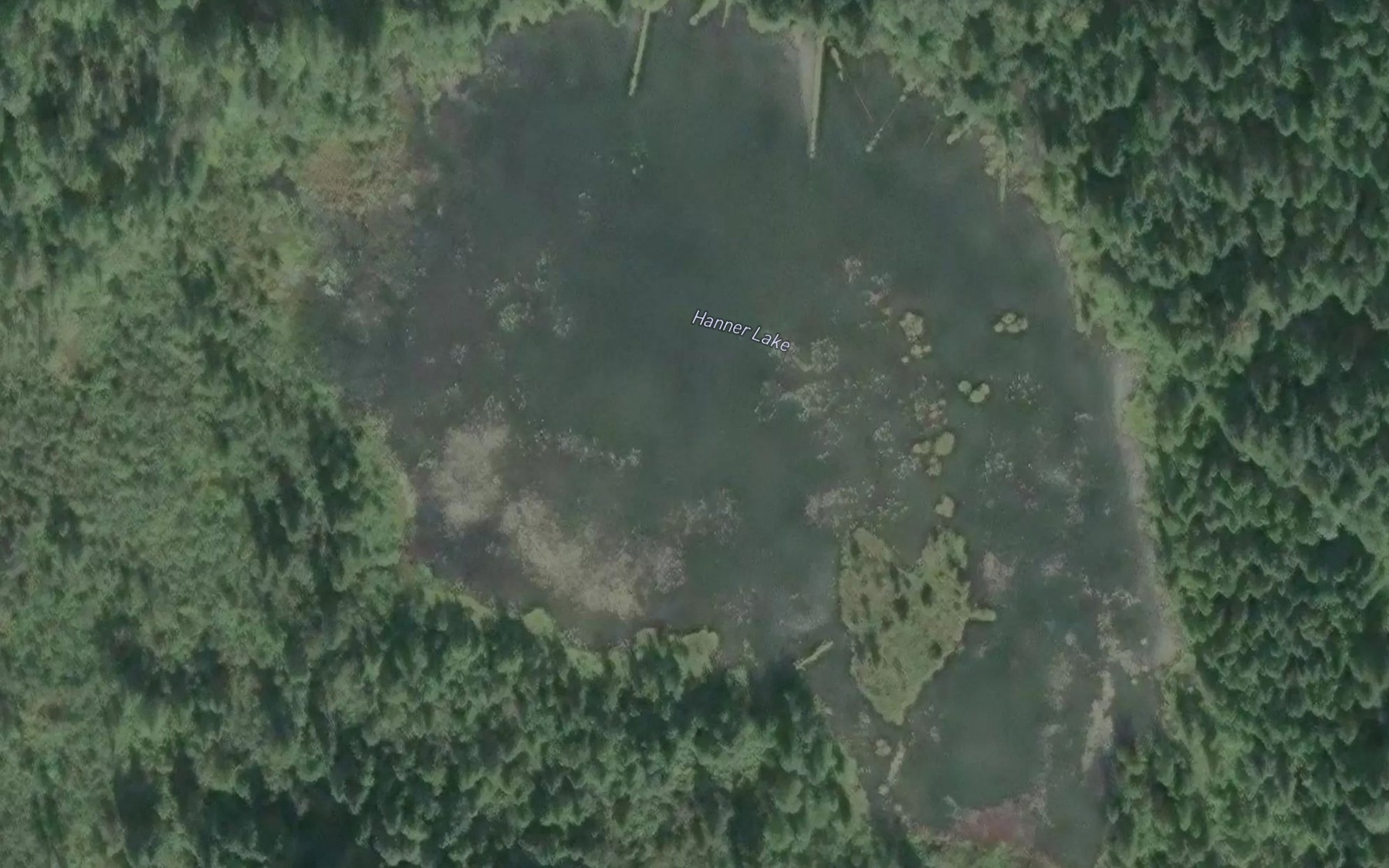 Satellite map of the Hanner Lake