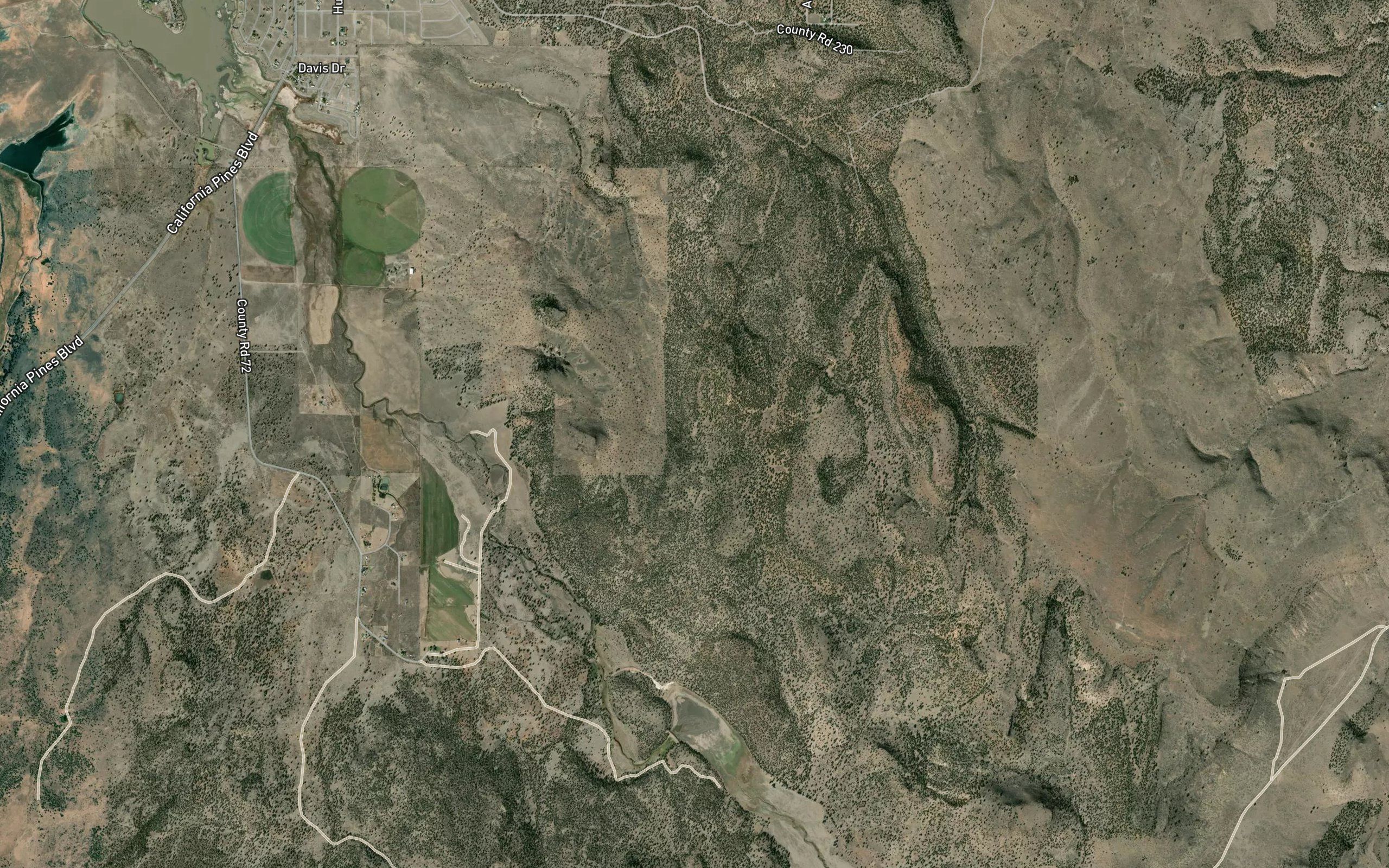 Signal Reservoir