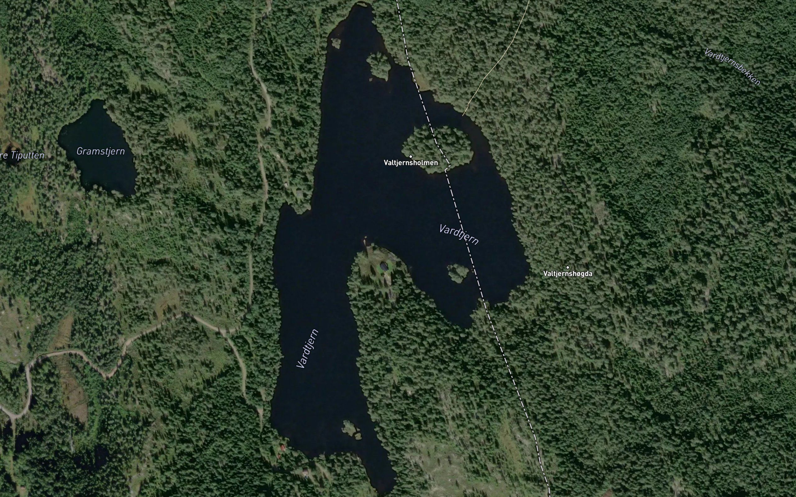 Vardtjernet