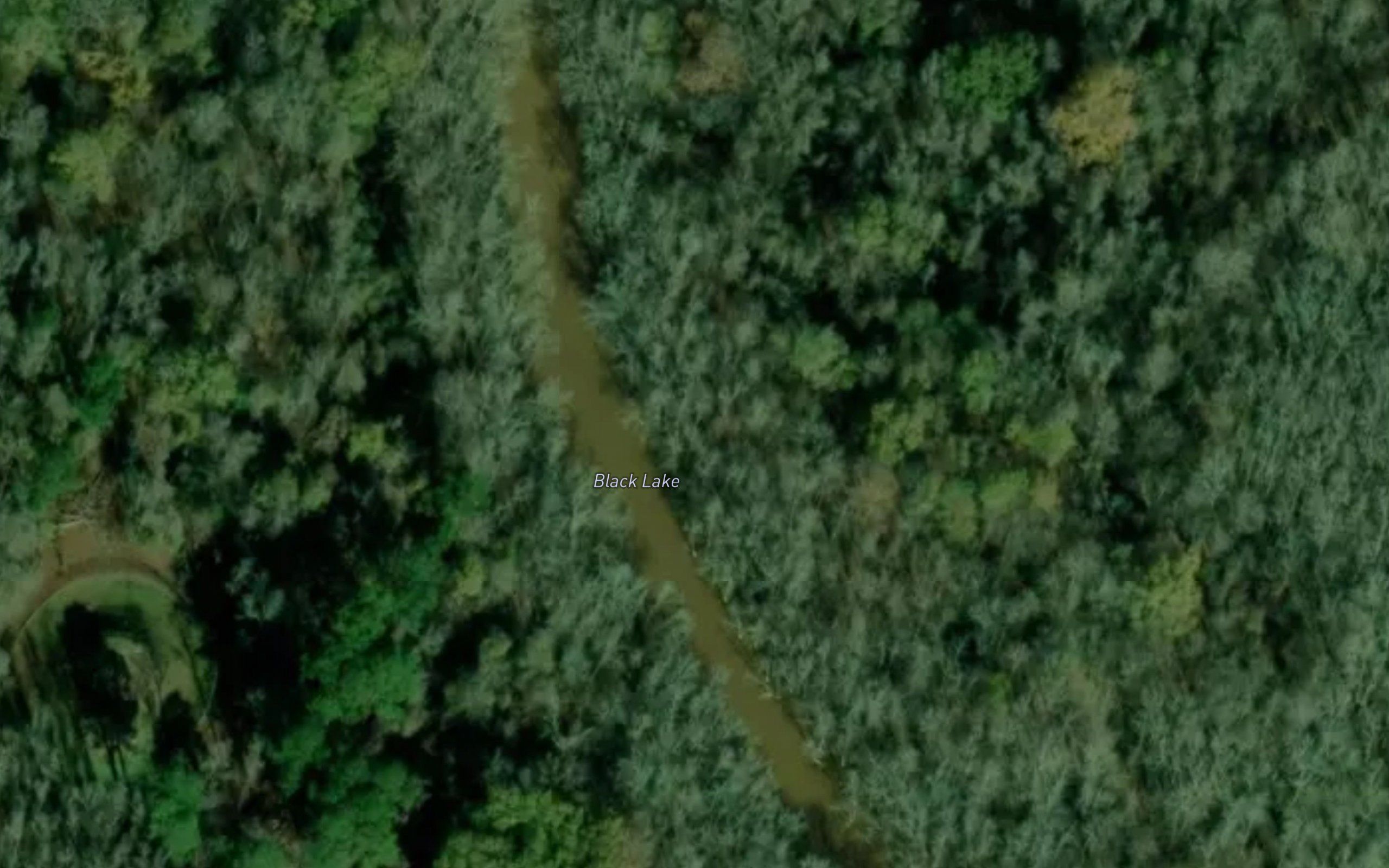 Black Lake