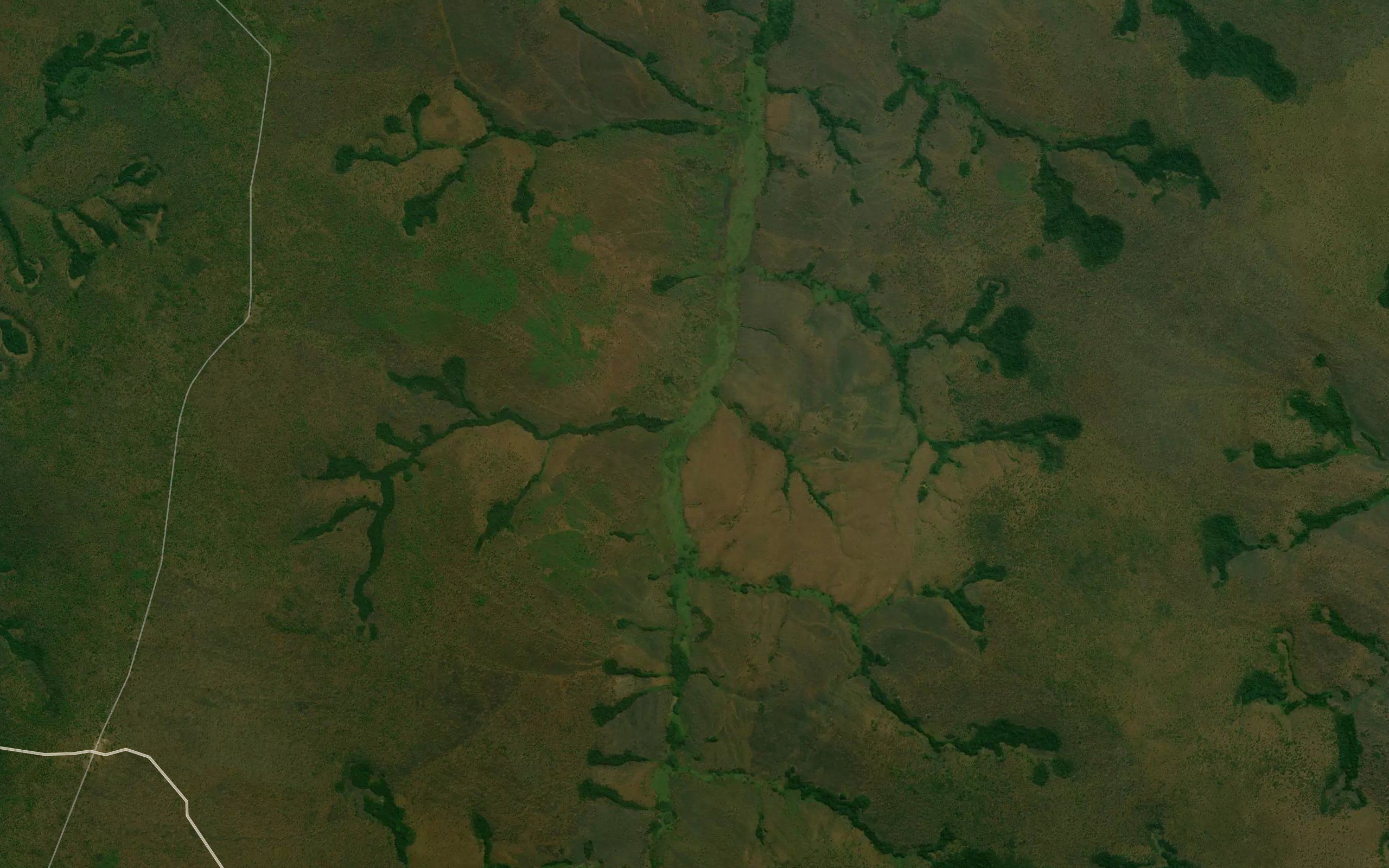 Nguela