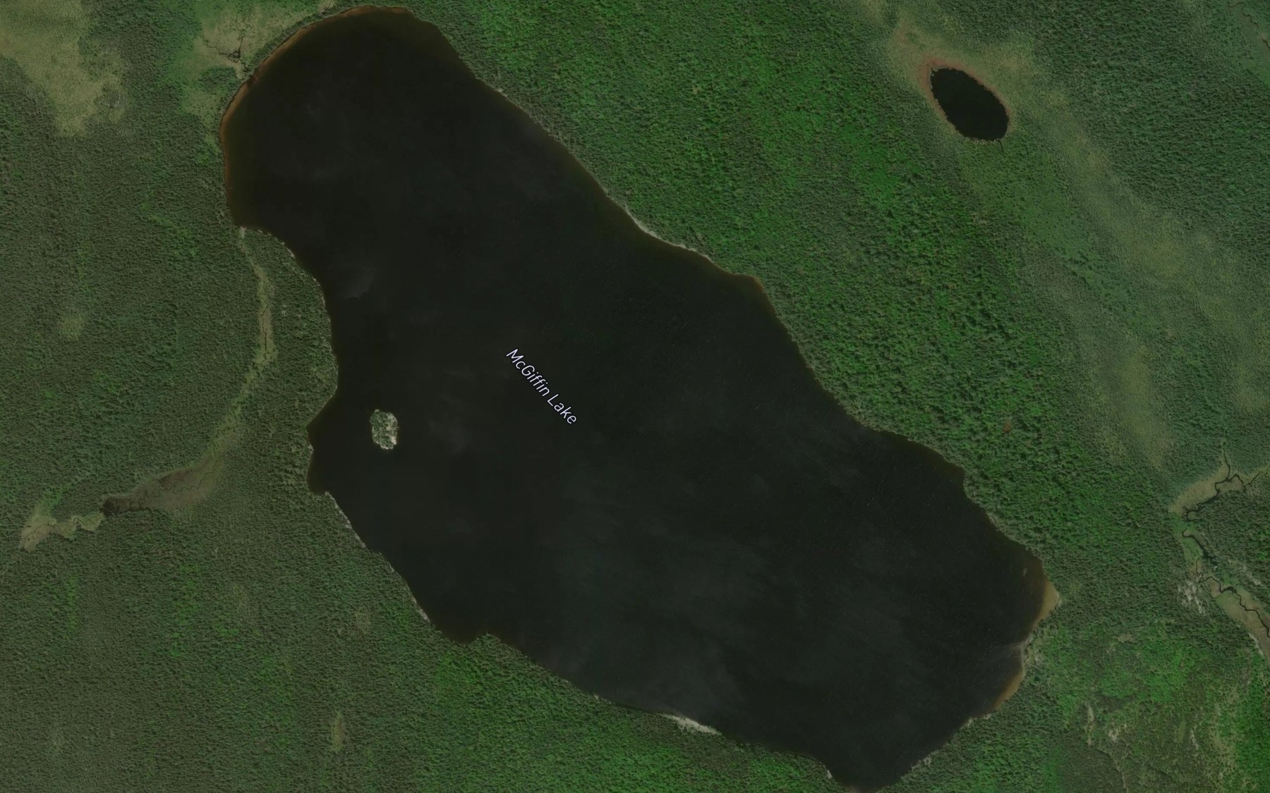 Satellite map of the McGiffin Lake