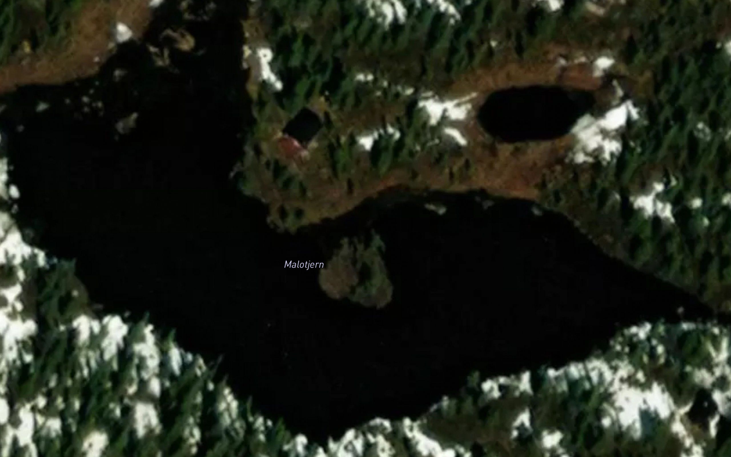Malotjernet