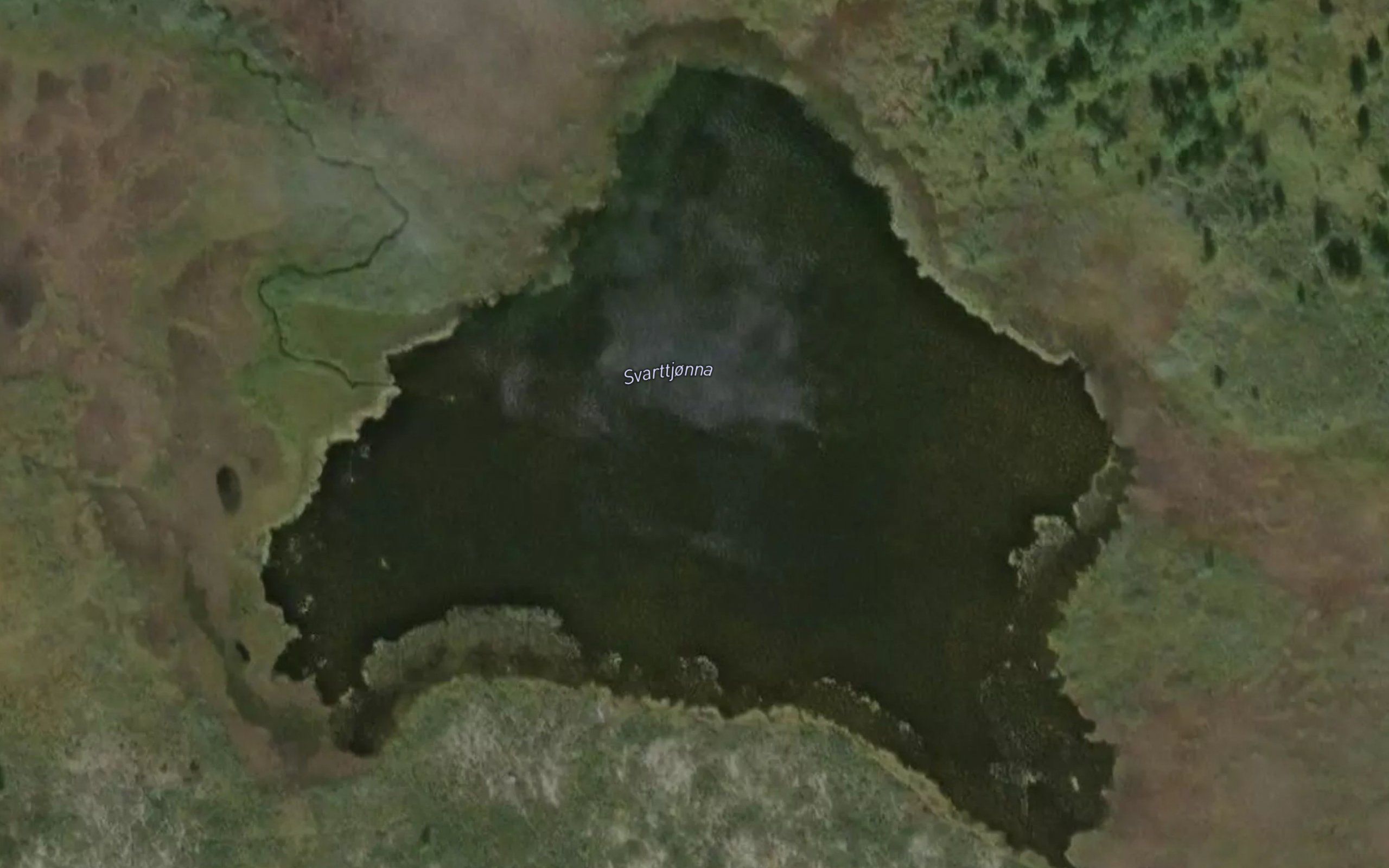 Svarttjorn