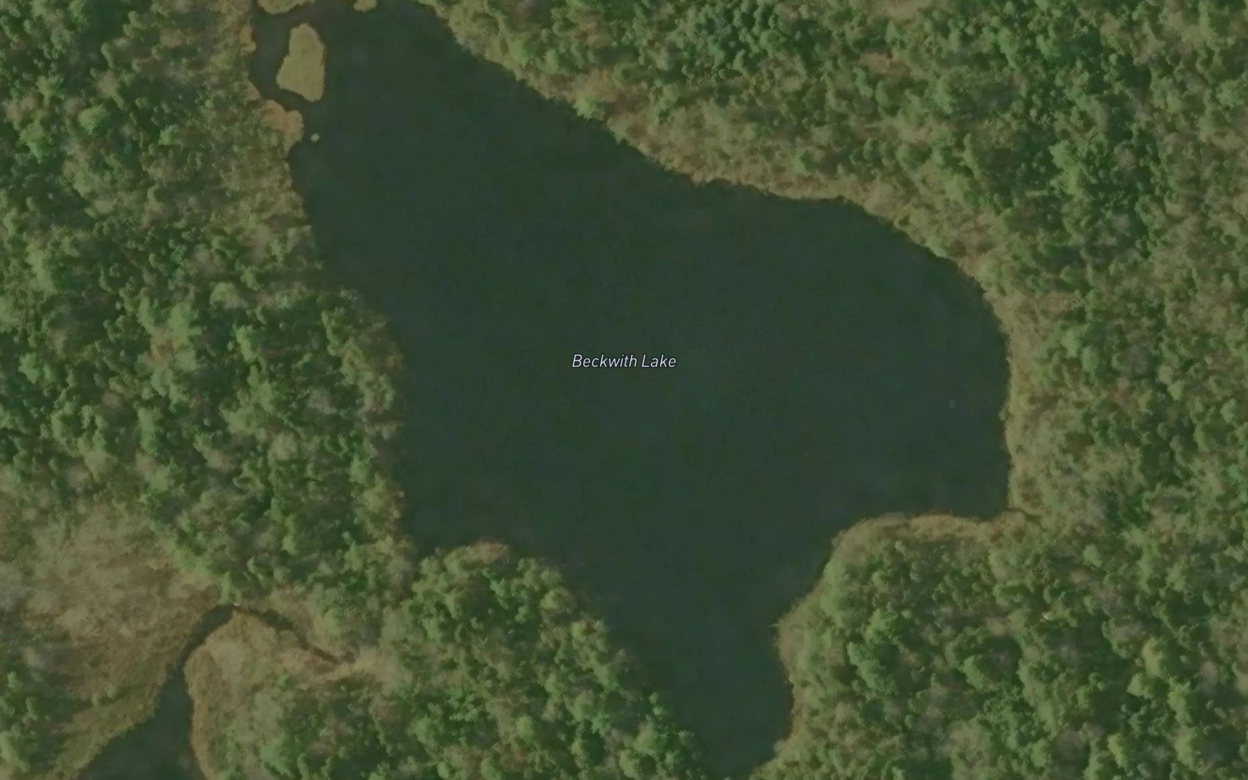Satellite map of the Beckwith Lake