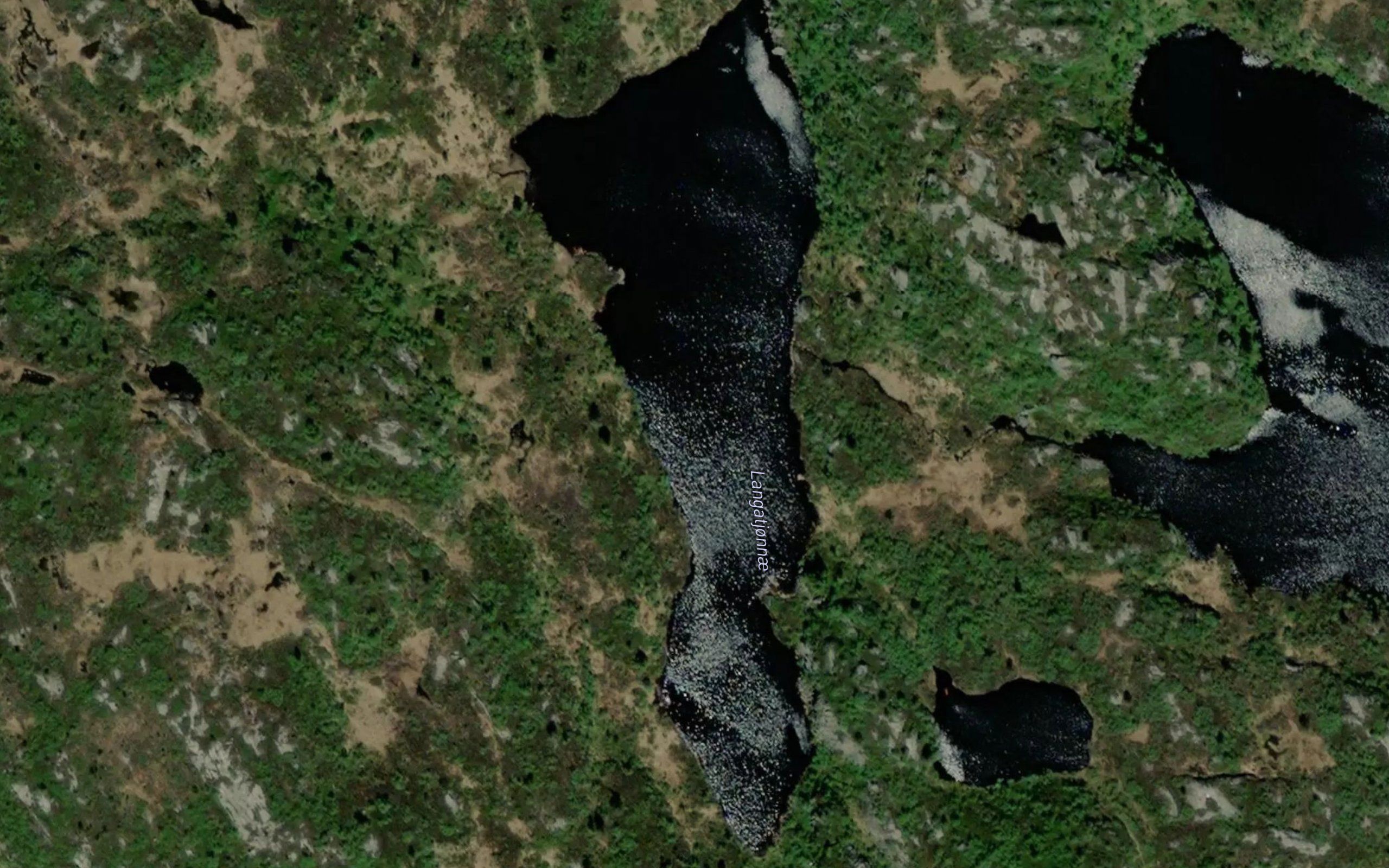 Langatjorni