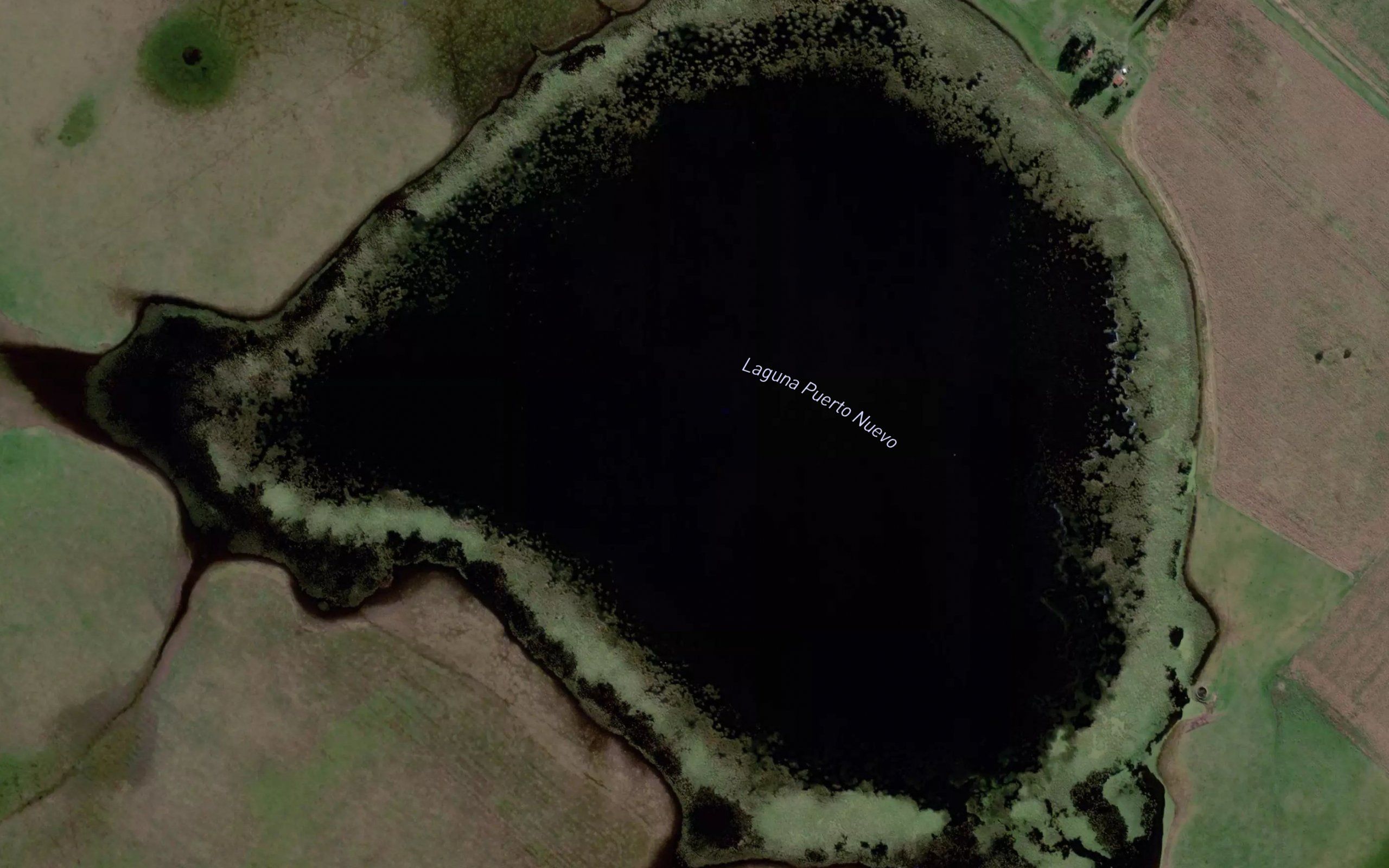 Laguna Puesto Nuevo