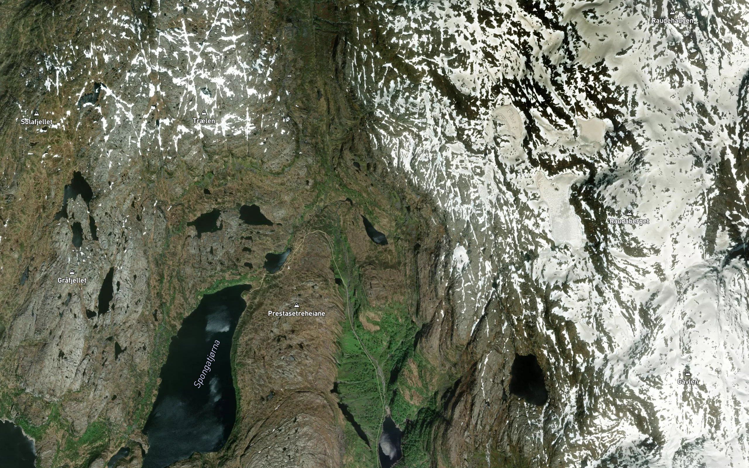 Skoratjorn