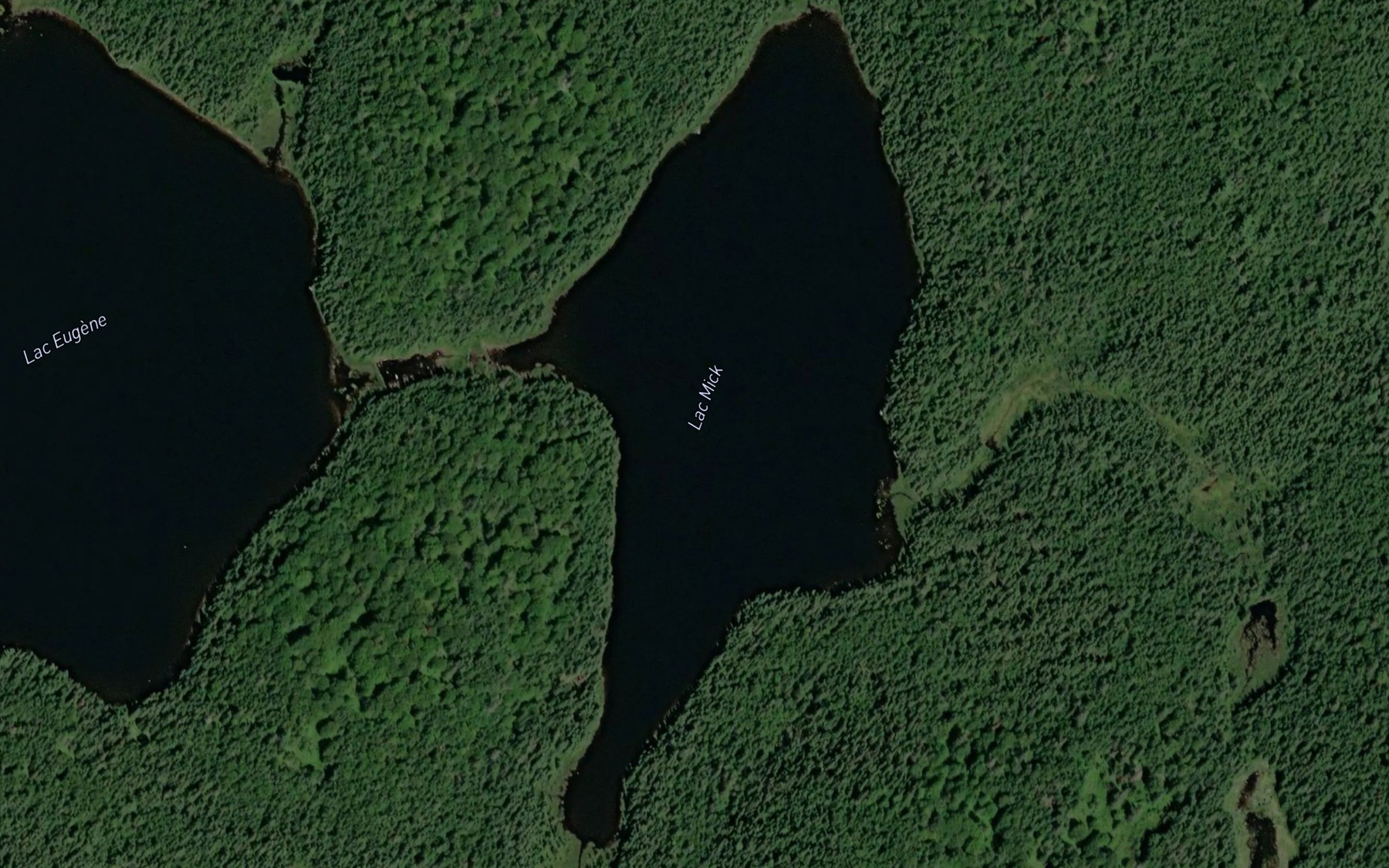 Satellite map of the Lac Mick