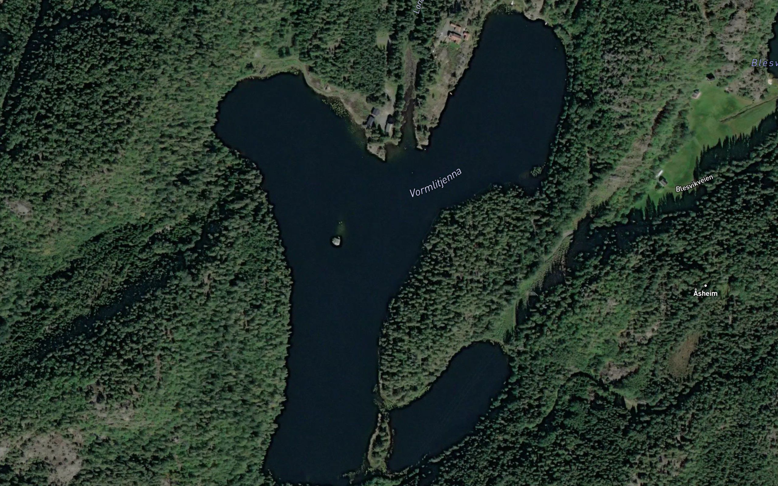 Vormlitjenn
