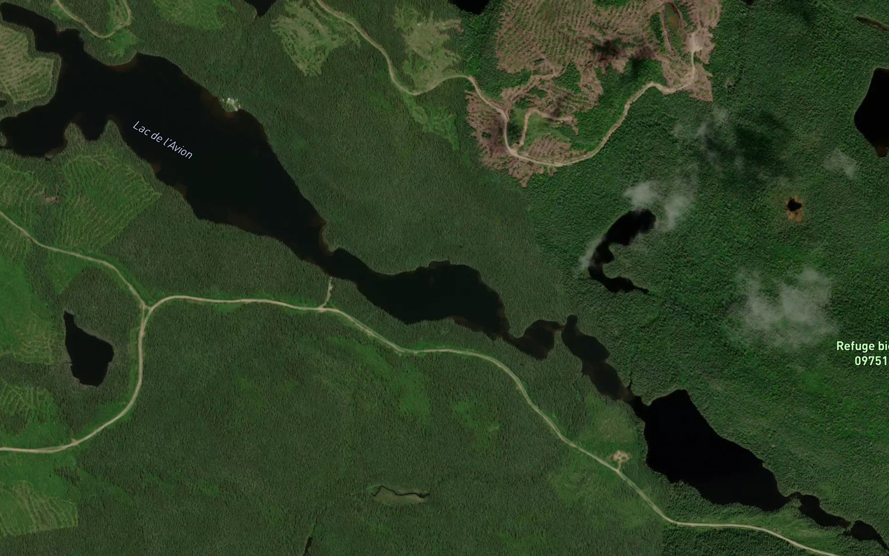 Satellite map of the Lac de l'Avion