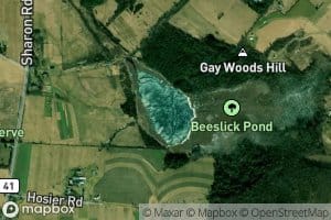 Beeslick Pond