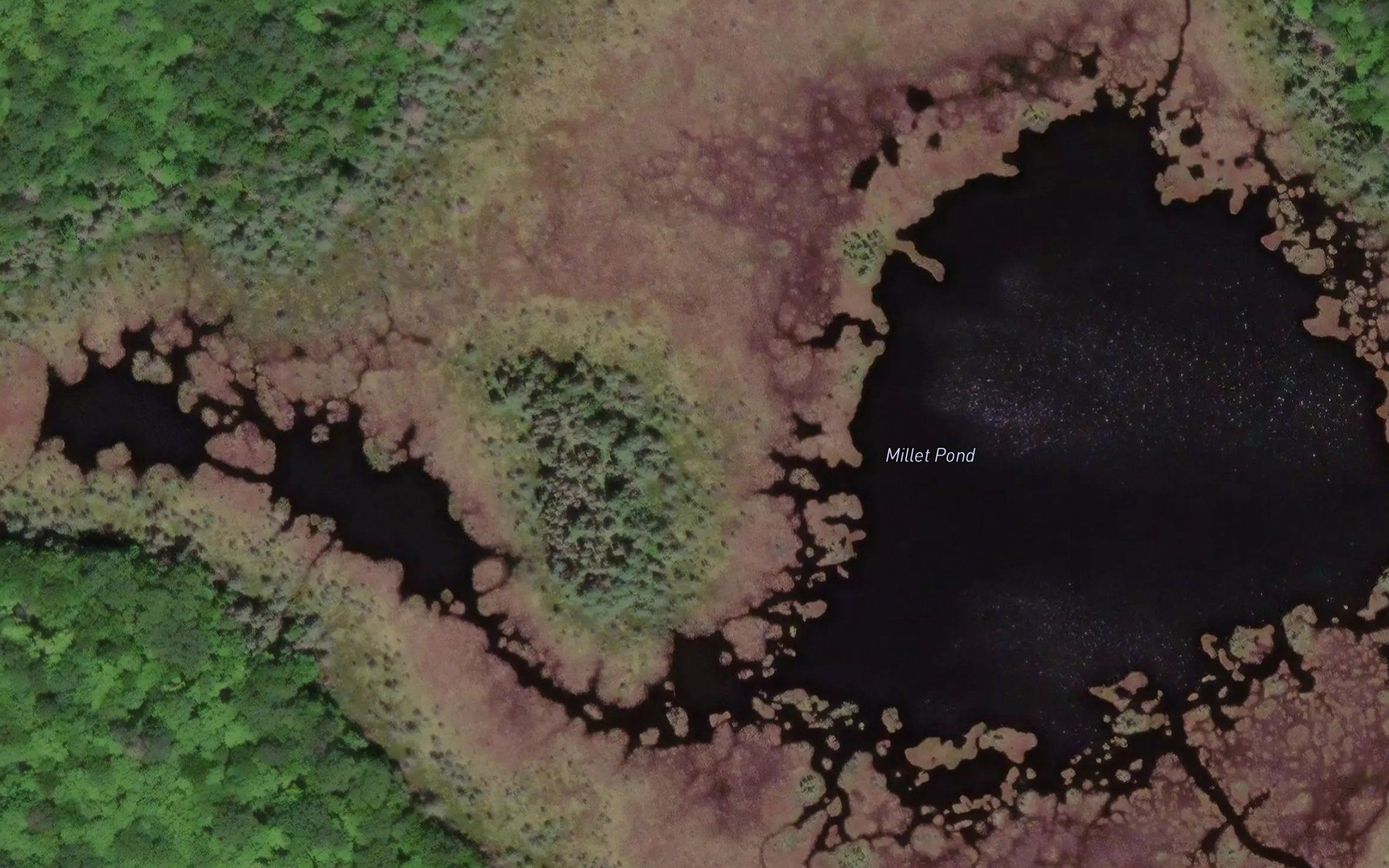 Millet Pond