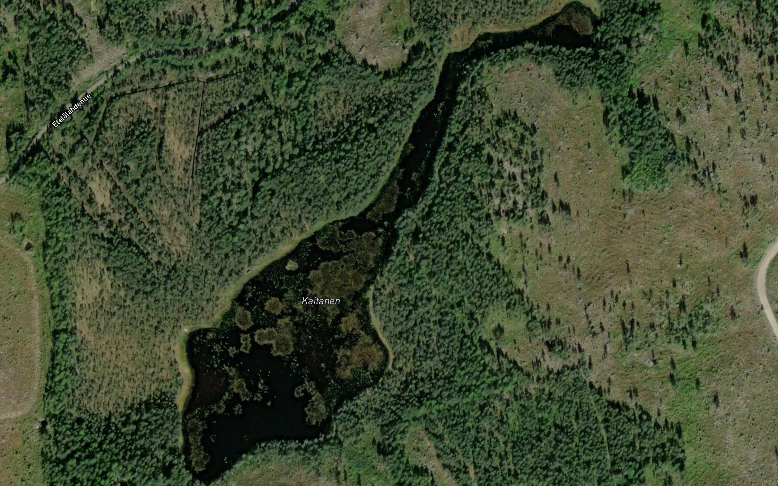 Kaitanen