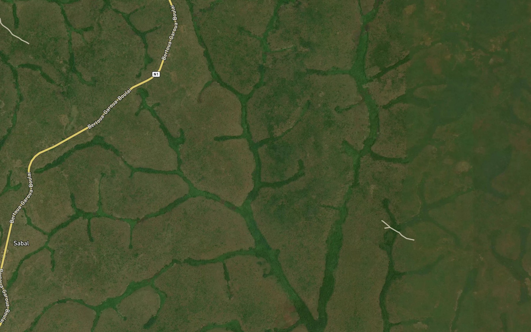 Satellite map of the Gbabake