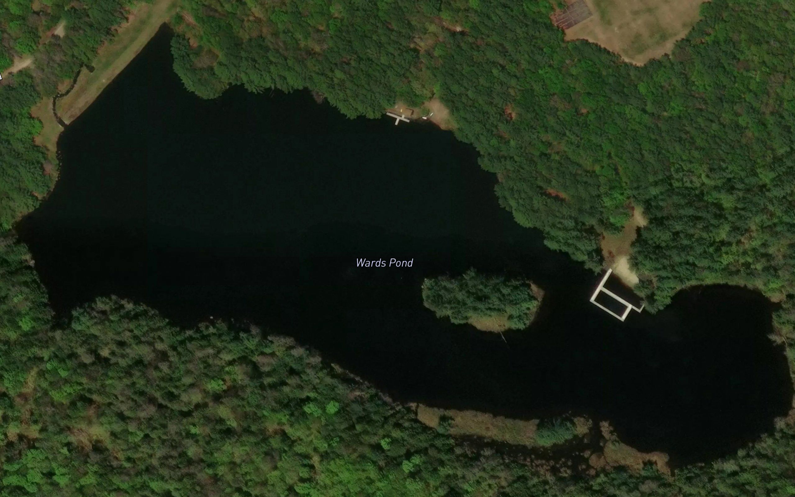 Wards Pond