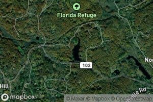 Johns Pond
