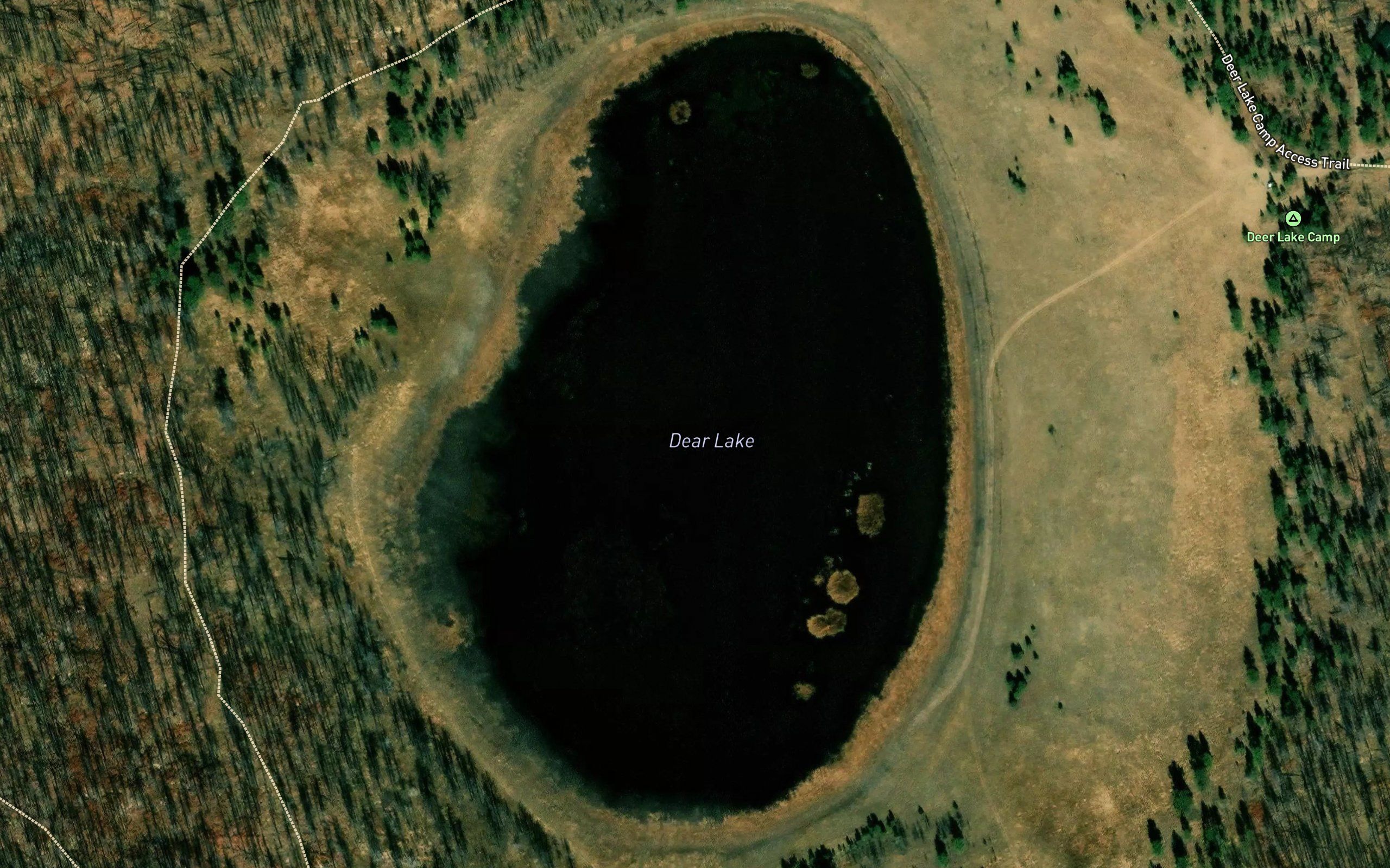 Deer Lake