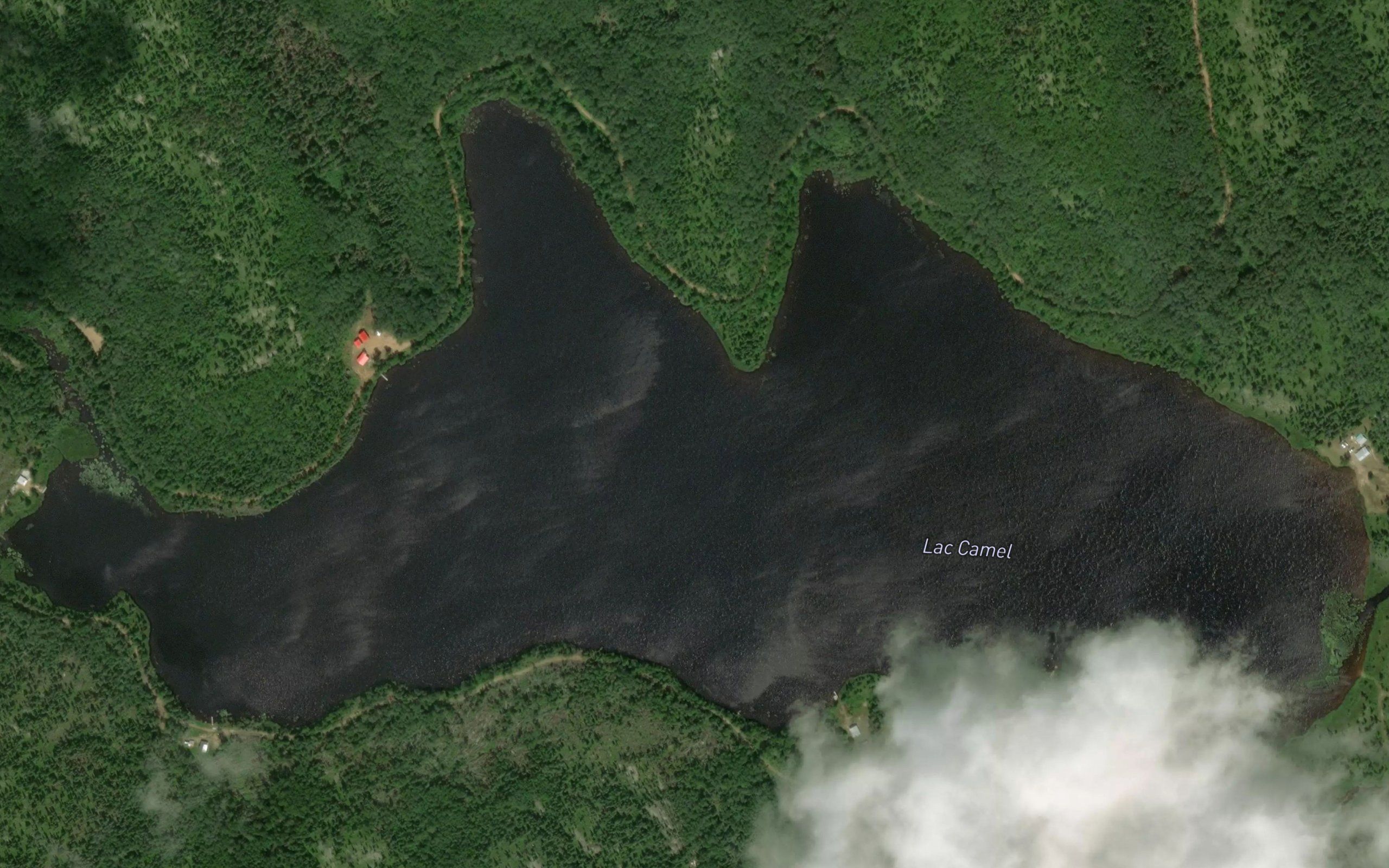 Lac Camel
