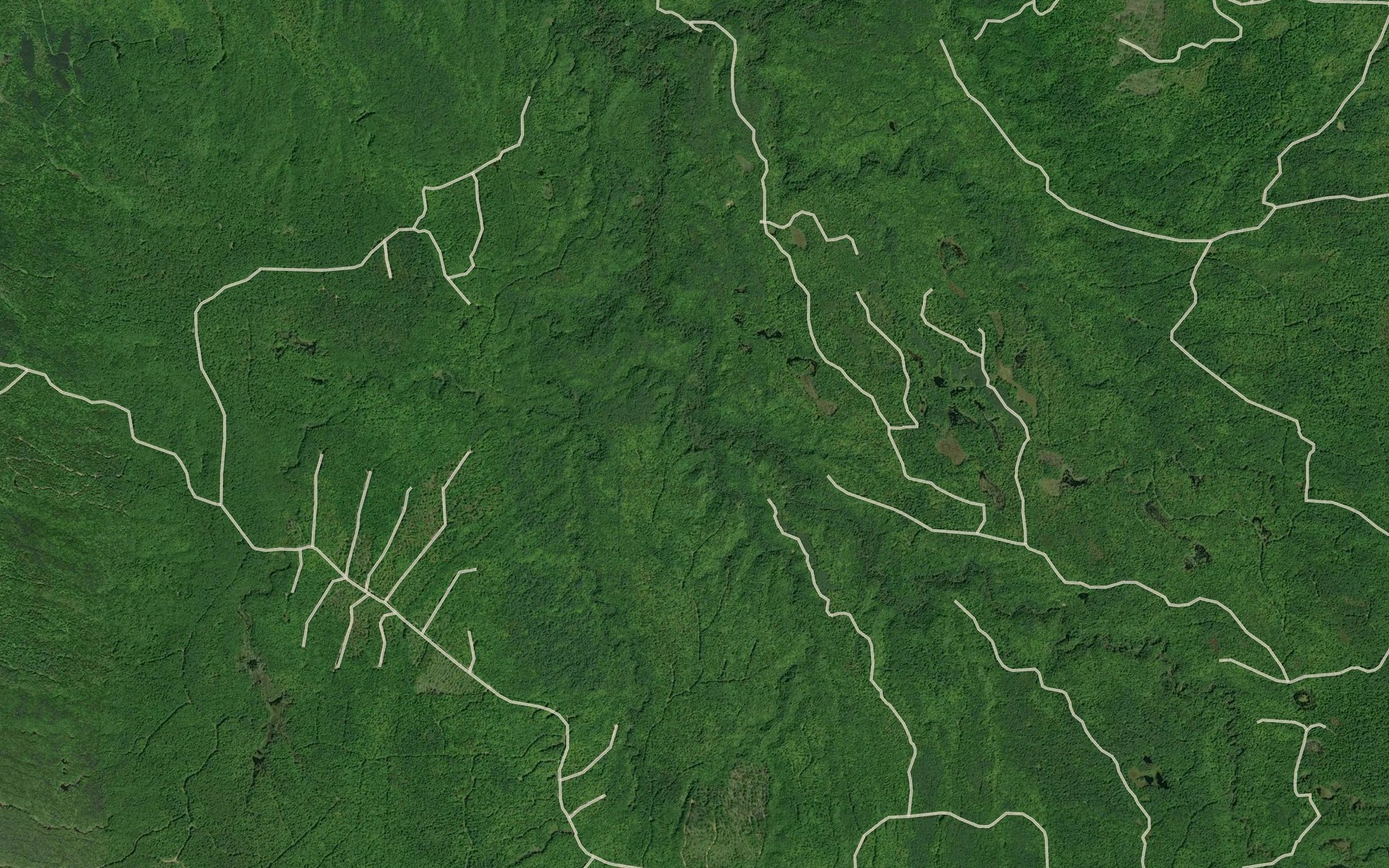 Satellite map of the Capone Creek