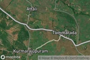 Seventh Branch Channel